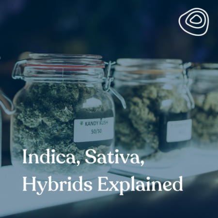 Indica Sativa Hybrids Explained