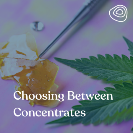 Choosing Between Cannabis Concentrates