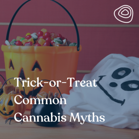 Trick-or-Treat Common Cannabis Myths