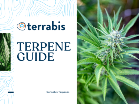 Terrabis Terpene Guide