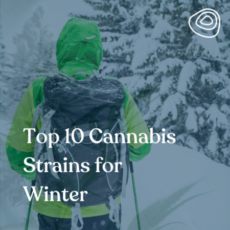 Top 10 Cannabis Strains for Winter