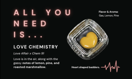 Proper Love Chemistry