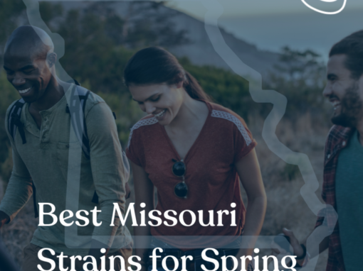 Best Missouri Strains For Spring