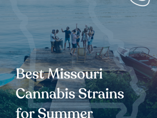 Best Missouri Cannabis Strains for Summer