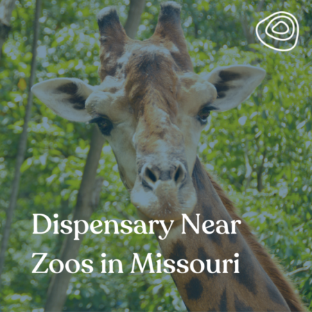 Dispensary Near Zoo in Missouri