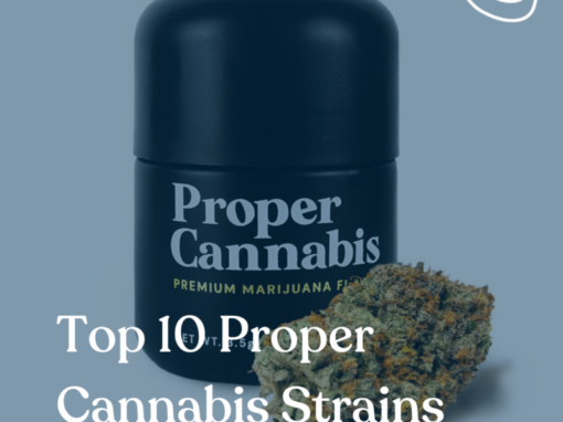 Top 10 Proper Cannabis Strains