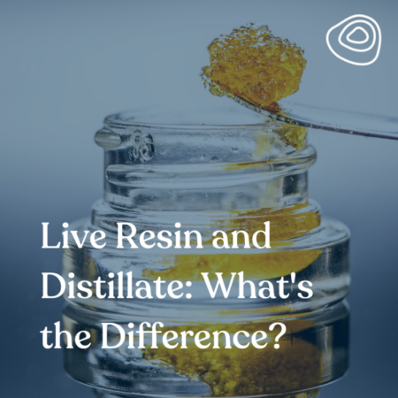 Live Resin and Distillate