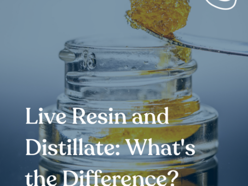 Live Resin and Distillate
