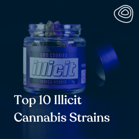 Illicit Cannabis Strains