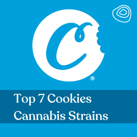 Top 7 Cookies Cannabis Strains