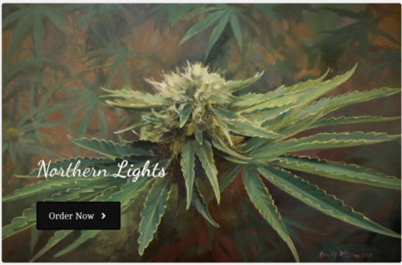 local missouri cannabis art emily j million
