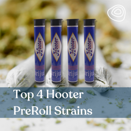 Top 4 Hooter PreRoll Strains