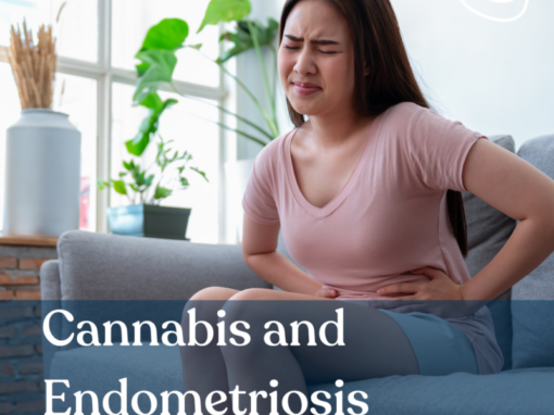Cannabis and Endometriosis
