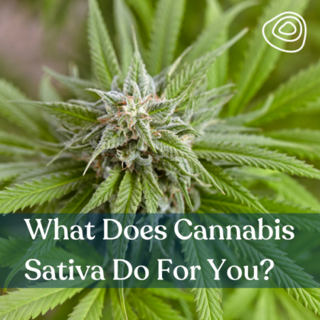 What Does Cannabis Sativa Do For You