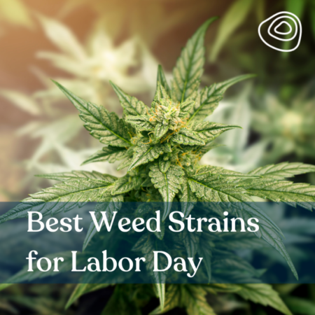 Best Weed Strains for Labor Day