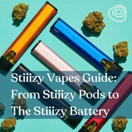 Stiiizy Vapes Guide- From Stiiizy Pods to The Stiiizy Battery