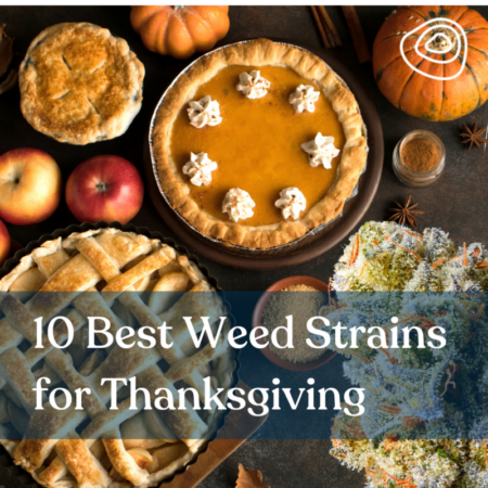 10 Best Weed Strains for Thanksgiving
