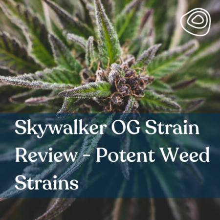 Skywalker OG Strain Review - Potent Weed Strains