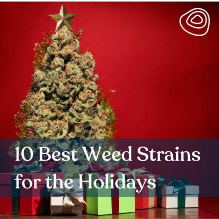10 Best Weed Strains for the Holidays