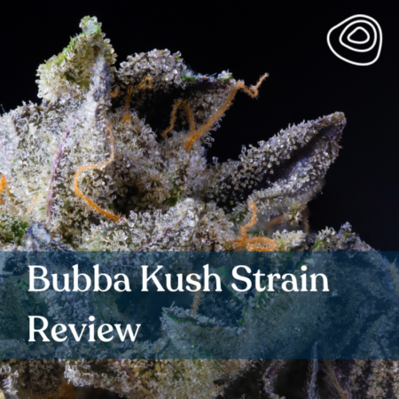 Bubba Kush Strain Review