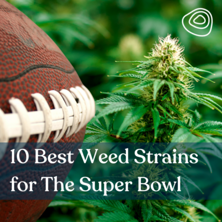 10 Best Weed Strains for The Super Bowl