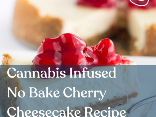 Cannabis Infused No Bake Cherry Cheesecake Recipe