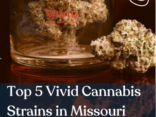 Top 5 Vivid Cannabis Strains in Missouri