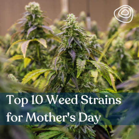 Top 10 Weed Strains for Mother’s Day